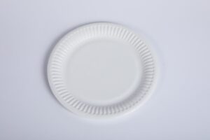 30133013 talerz papierowy.jpg