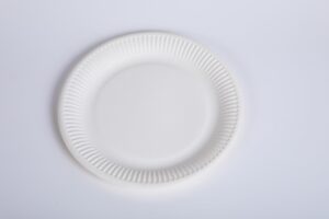 30163016 talerz papierowy.jpg