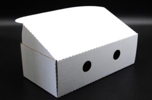 70707070-3.JPG