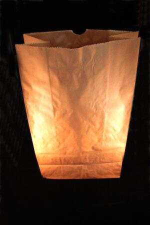 0217worek-papierowy-60x22x110-3w-0217.jpg
